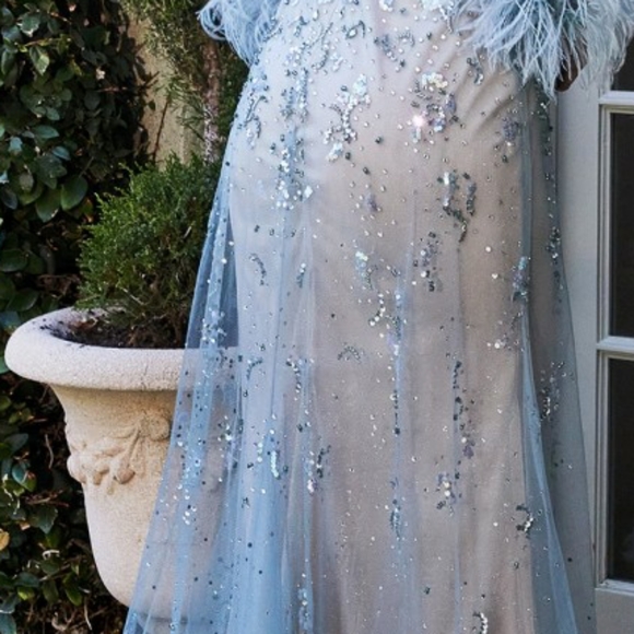 Formal dress - Picture 7 of 10